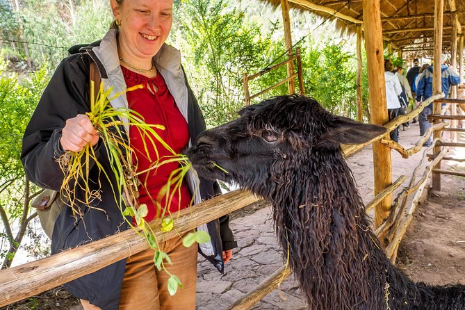 Sacred Valley and Machu Picchu Tour in 2 days with Peru Vip - Free time and the return to Cusco