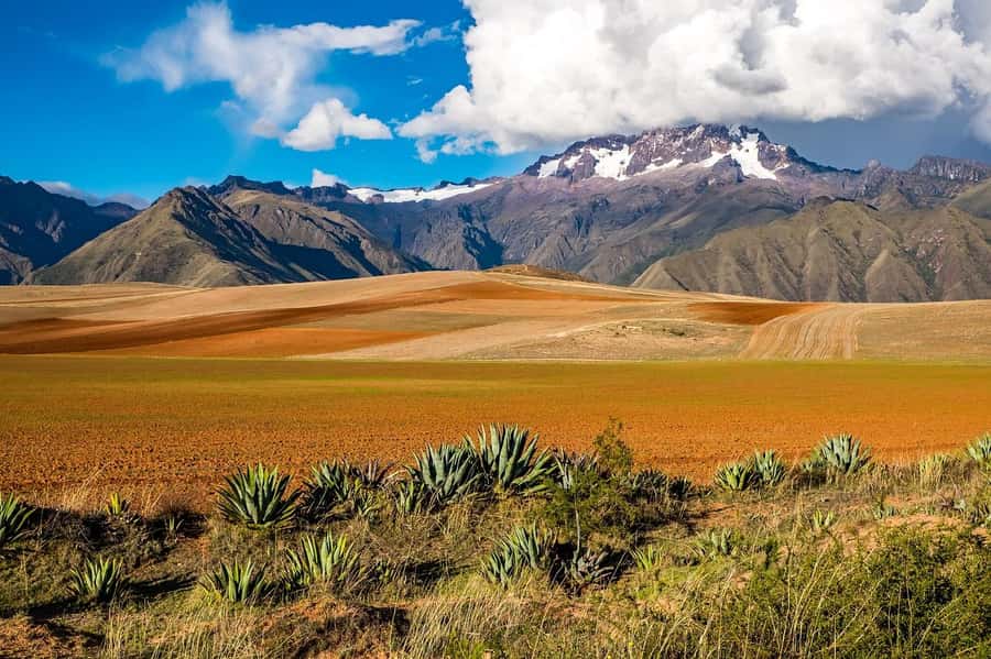 Sacred Valley: Chinchero, Moray, Ollantaytambo & Pisac+Lunch - Pisac closes the day with terraces and a market