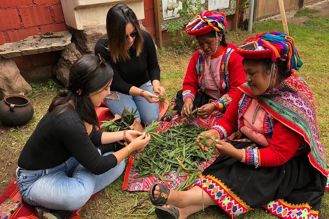 Sacred Valley Textile Workshop – Dyeing & Weaving in Cusco - Gathering plants for Andean natural dyes