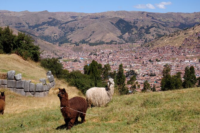 Sacsayhuaman Temple, Tambomachay and Puca Pucara Half-Day Tour - What the guide can add