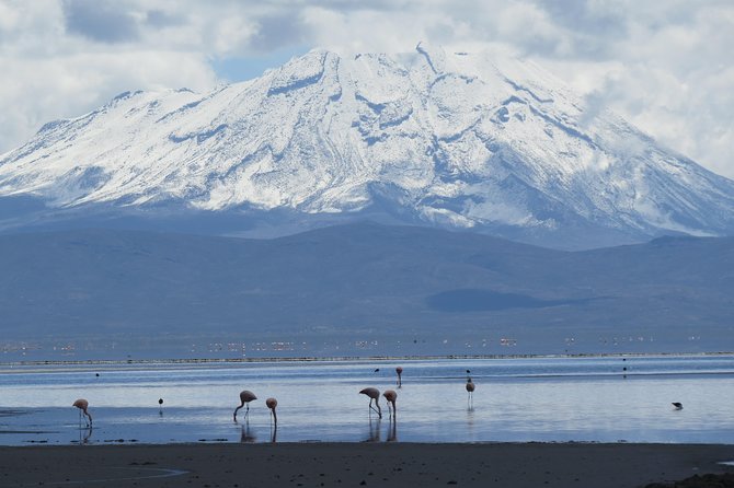 Salinas National Reserve PRIVATE TOUR - A picnic lunch with a view
