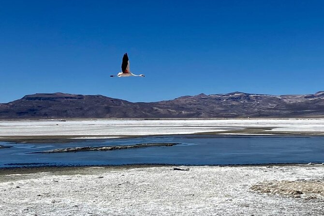 Salinas National Reserve PRIVATE TOUR - What to pack for 4,400 meters