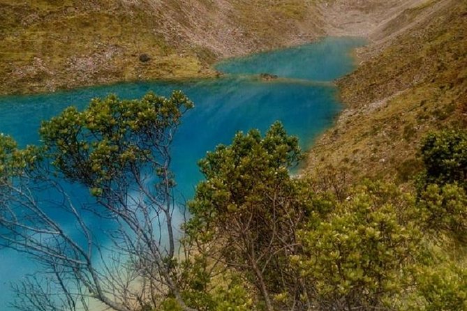 Salkantay Trek: 5 Days to Machu Picchu - Day 5: Machu Picchu and the journey back to Cusco
