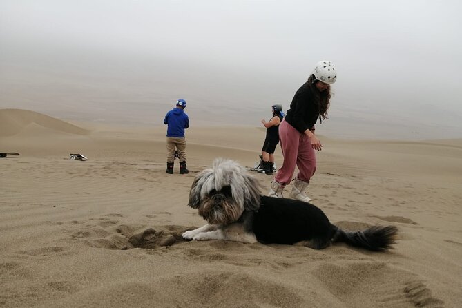 Sandboarding Experiance in Lima - Who will enjoy this half-day desert outing
