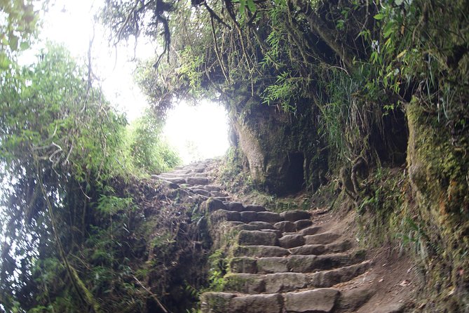 Short Inca trail to MachuPicchu || 2days - 1nigth || - Practical Checks Before You Reserve