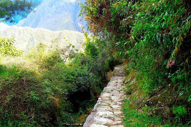 Small Group: 4-Day Inca Trail Trek to Machu Picchu - Day 3: Ruins, passes, and cloud forest