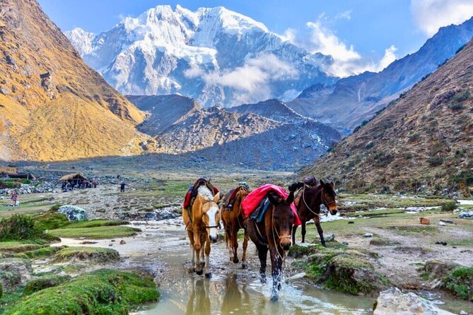 Small Group 5 Days Salkantay and Machu Picchu by Llactapata Tour - Day four: the Inca trail to Llactapata