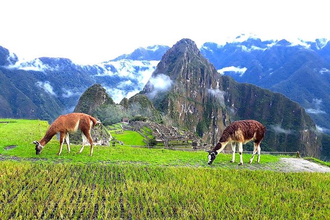 Small-Group Day Tour to Machu Picchu - Why this Machu Picchu day trip works