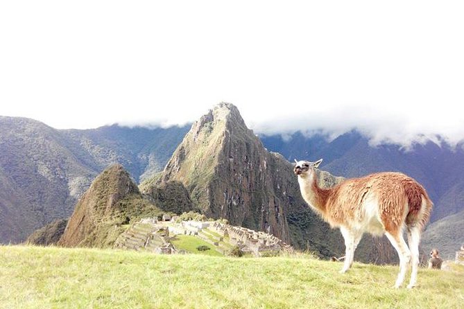 Small-Group Day Tour to Machu Picchu - The 5:15 a.m. start from Cusco