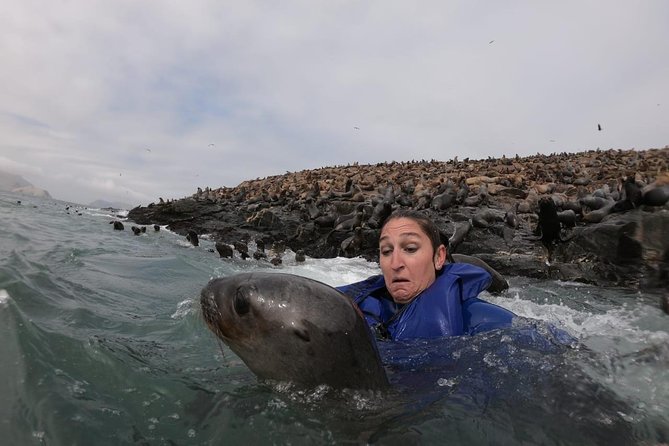 Swimming with Sea Lions in Lima - Why Palomino Island is worth the cold water