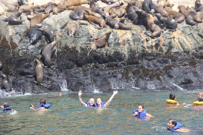 Swimming with Sea Lions in Lima - Is $139 a fair price?
