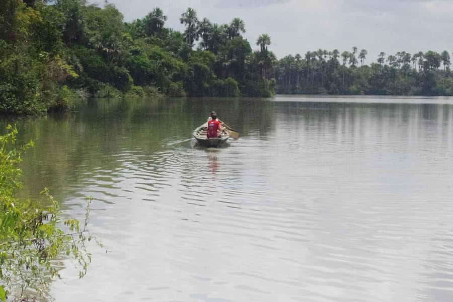 Tambopata: Lake Sandoval Canoeing with Lunch - Arriving at Lake Sandoval