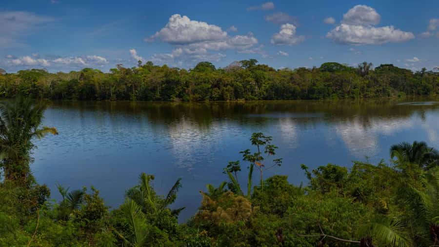 Tambopata: Lake Sandoval Canoeing with Lunch - Lunch Beside the Lake