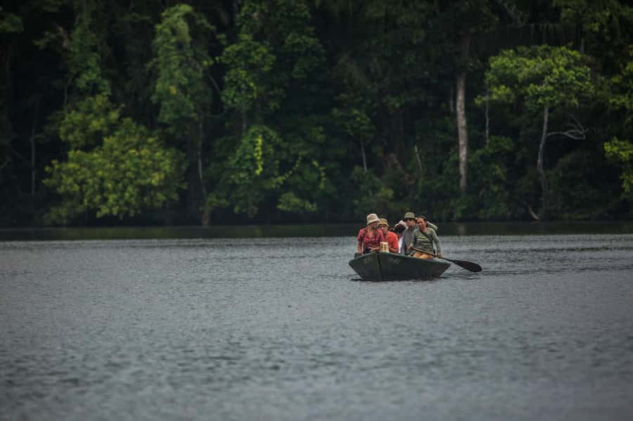 Tambopata Macaw Clay Lick 3 days/2 nights - Guides, group size, and the pace of the program
