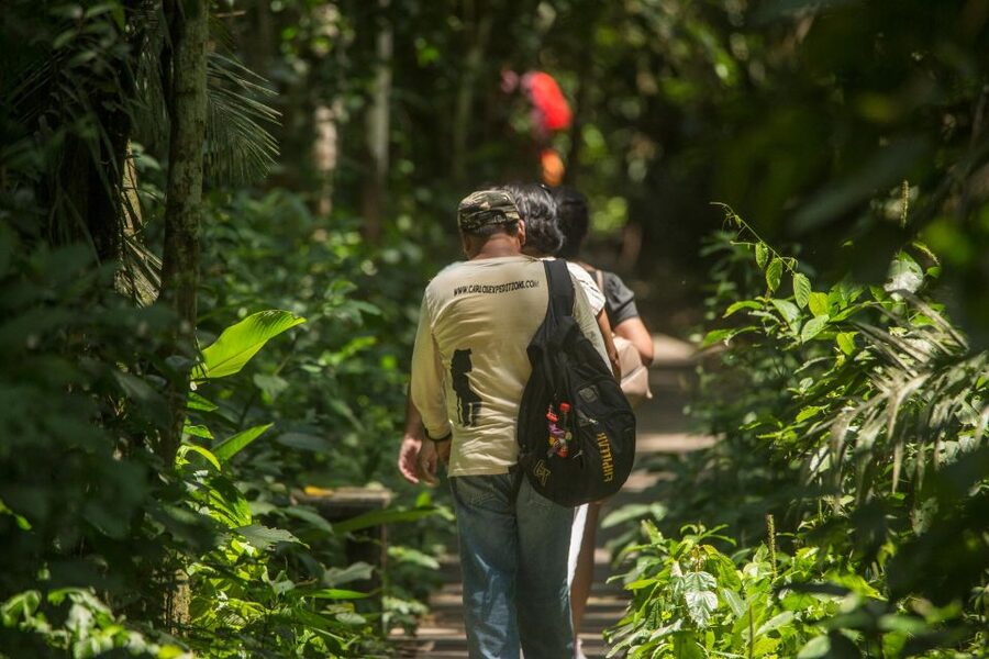 Tambopata Macaw Clay Lick 5 days/4 nights - Day four: walking to Lake Sandoval