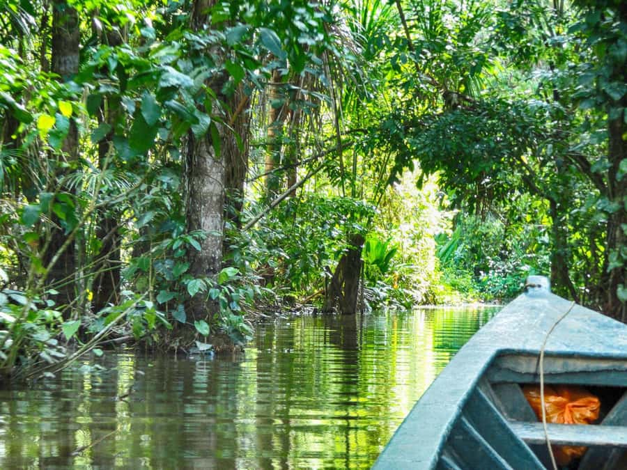 Tambopata: Multi-Day Amazon Rainforest Tour with Local Guide - The lodge: simple rooms and a real break from screens