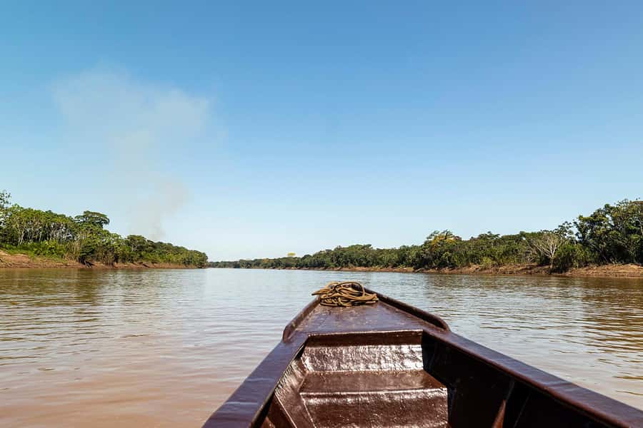 Tambopata: Multi-Day Amazon Rainforest Tour with Local Guide - Day Four: clay licks and the trip back to town