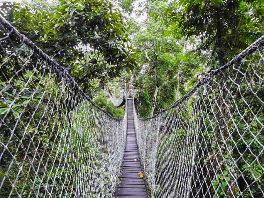 Tambopata: Multi-Day Amazon Rainforest Tour with Local Guide - Who should book this Tambopata trip?