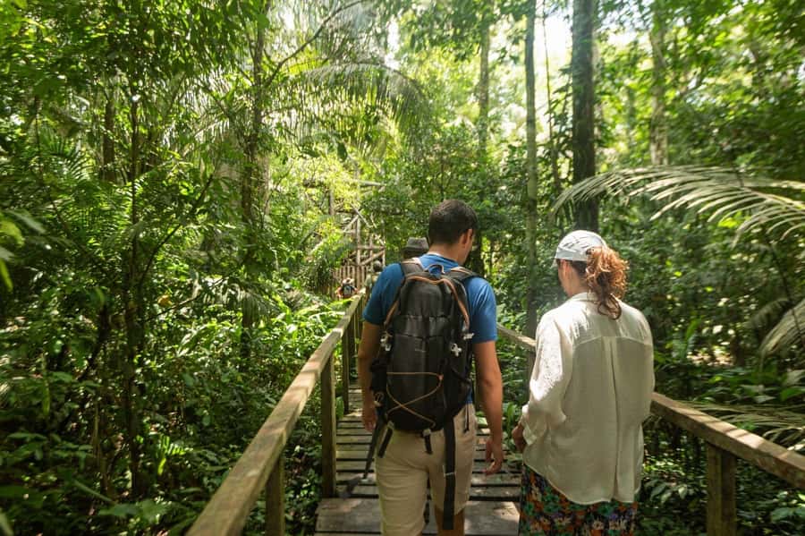 Tambopata National Reserve Tour 3 Days - Wildlife: what you might actually see