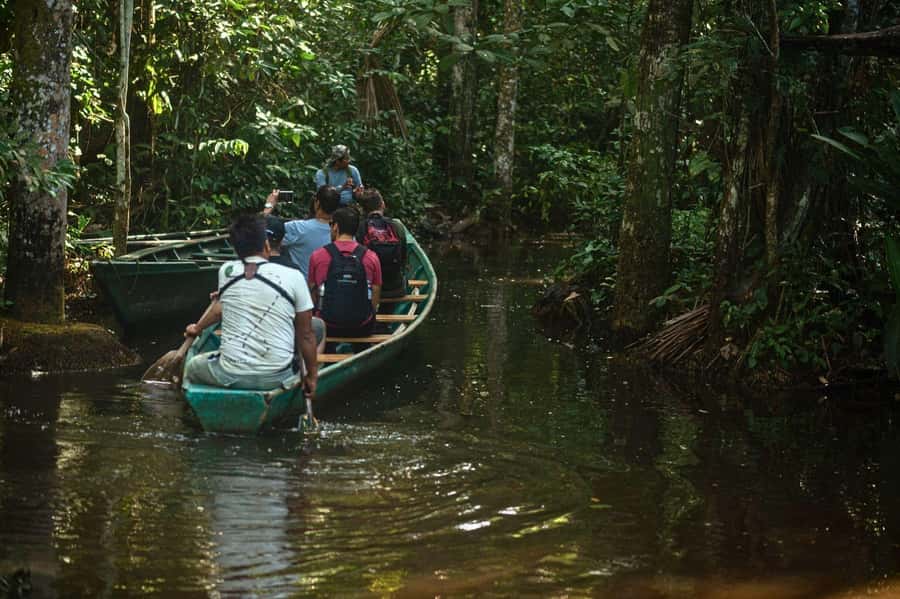 Tambopata National Reserve Tour 3 Days - What the $260 price covers
