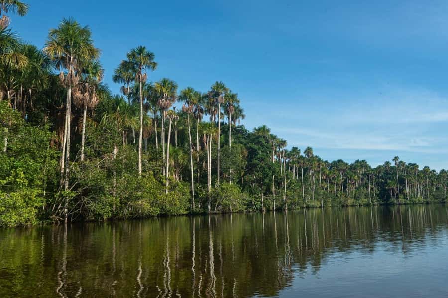 Tambopata National Reserve Tour 3 Days - Who should book this experience