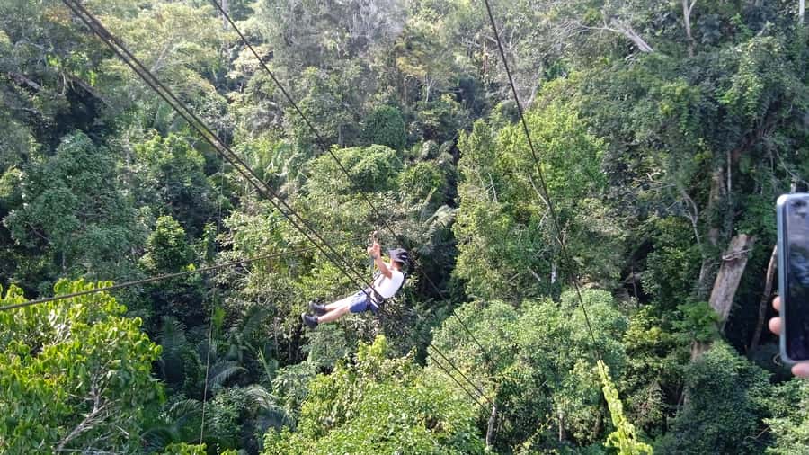 Tambopata Peruvian Amazon Jungle for Three Days/Two Nights - Night forest walks and the sounds after dark