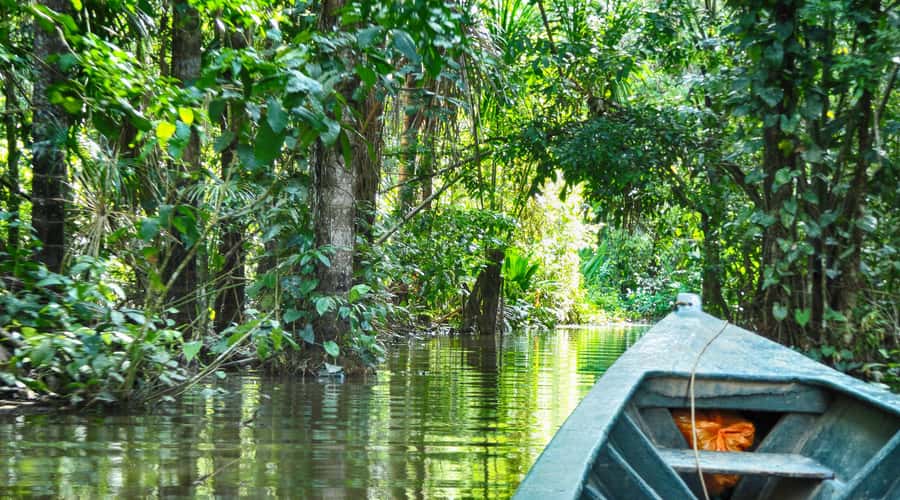 Tambopata Peruvian Amazon Jungle for Three Days/Two Nights - What $350 covers, and where the value lies
