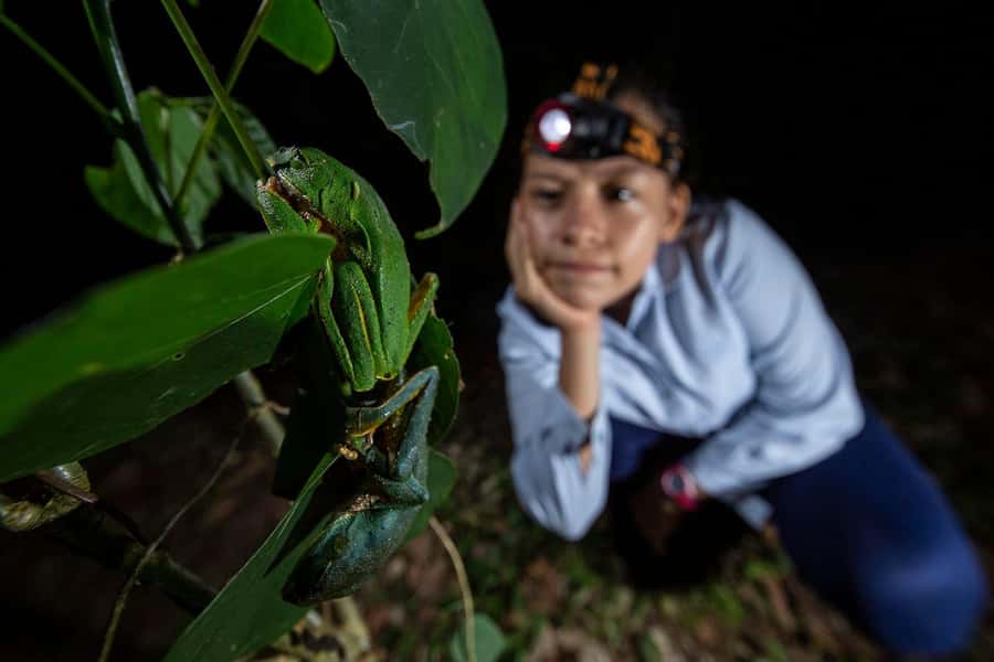 Tambopata Rainforest Night Walk & River Exploration - Key points to know before booking