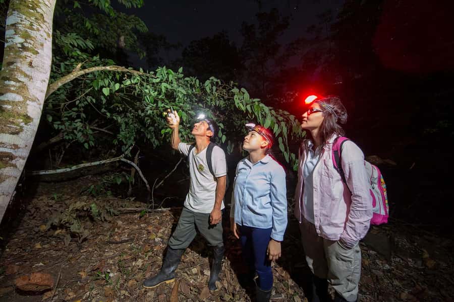Tambopata Rainforest Night Walk & River Exploration - From riverbank to jungle trail