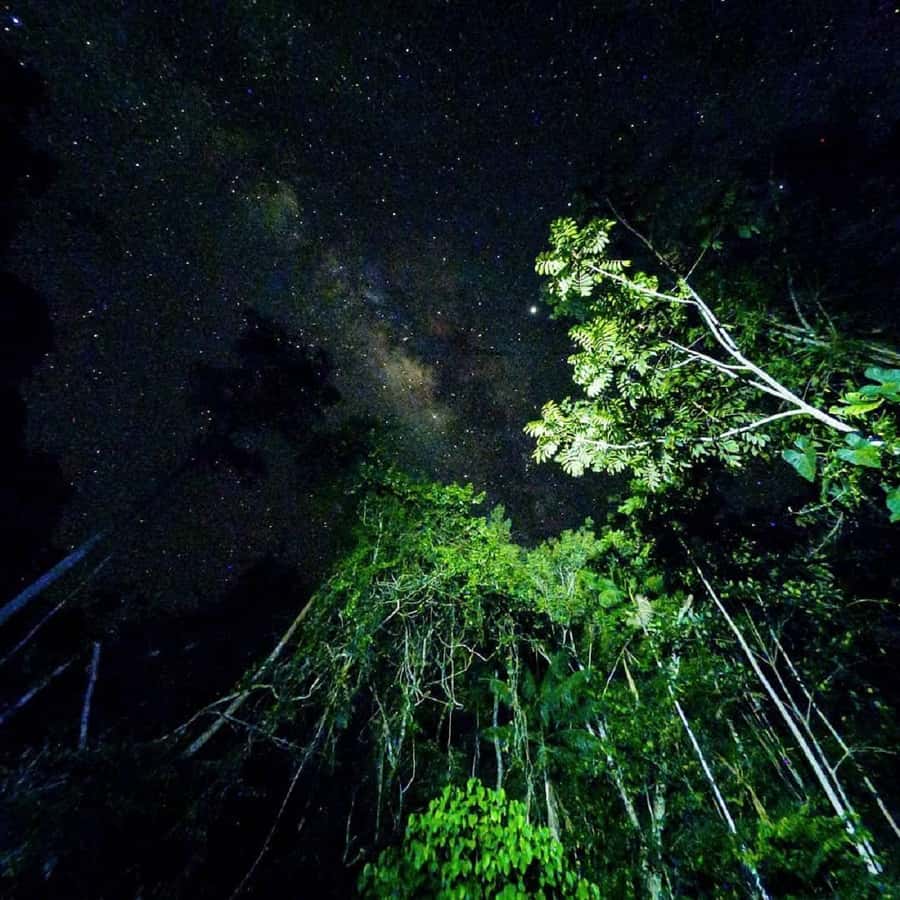 Tambopata Rainforest Night Walk & River Exploration - What to wear and pack for the night forest