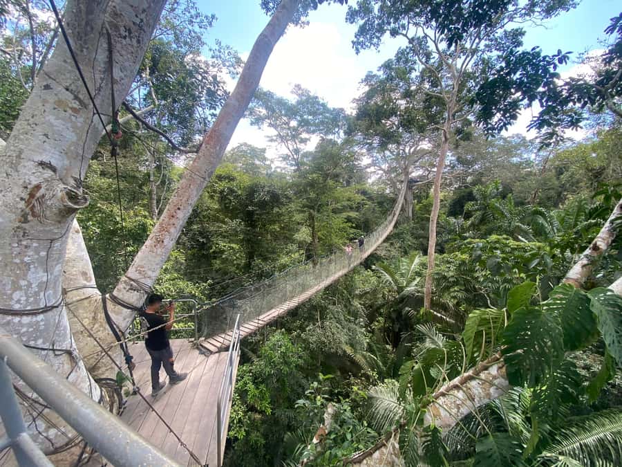 Tambopata: Zipline Adventure & Kayak to Monkey Island - Should you book the zipline and Monkey Island day?