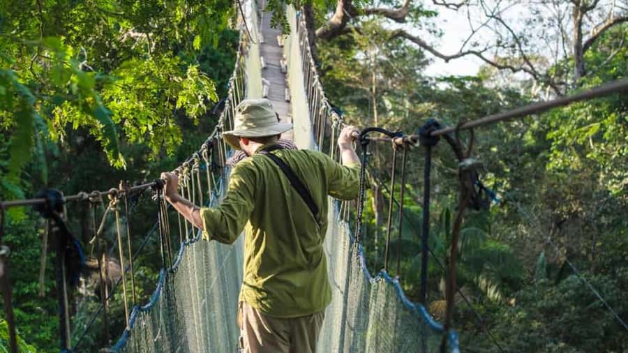 Tambopata: Zipline Adventure & Kayak to Monkey Island - The jungle lodge and the climb to the canopy