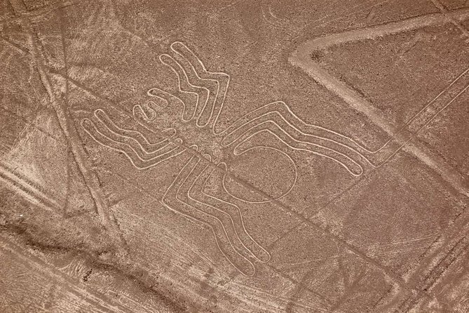 The Nazca Lines & Huacachina Oasis from Lima - Private Trip - Huacachina Oasis and the golden dunes
