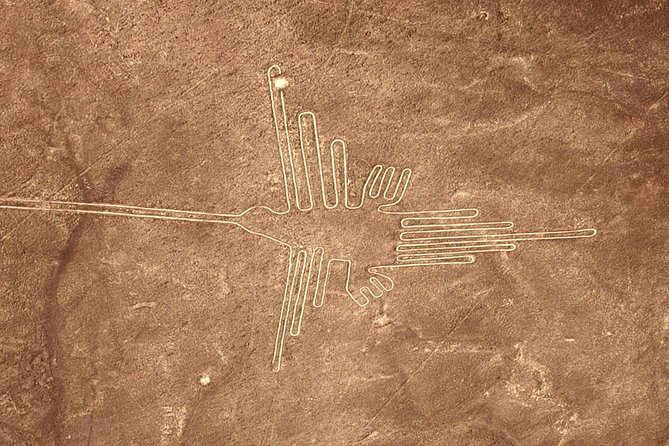 The Nazca Lines & Huacachina Oasis from Lima - Private Trip - Guides, drivers, and how the day feels