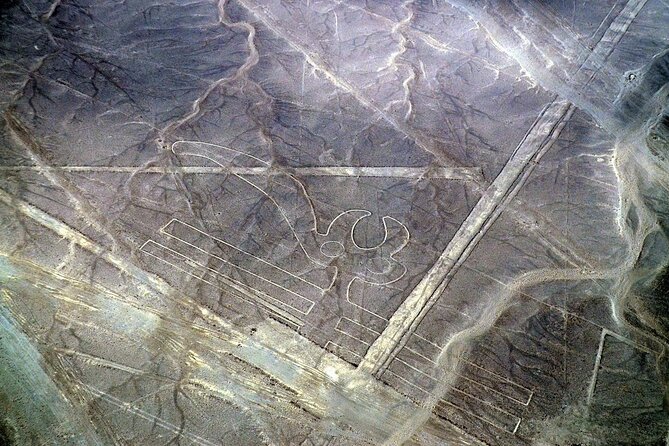 The Nazca Lines & Huacachina Oasis from Lima - Private Trip - The real cost of convenience