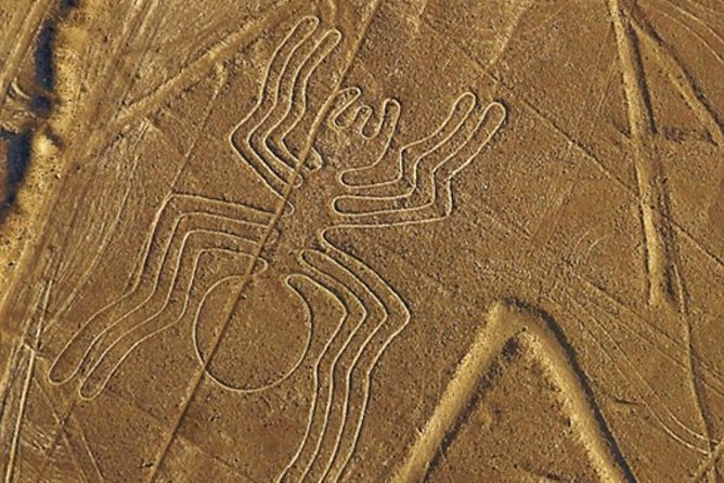 The Nazca Lines & Huacachina Oasis from Lima - Private Trip - Who should book this experience