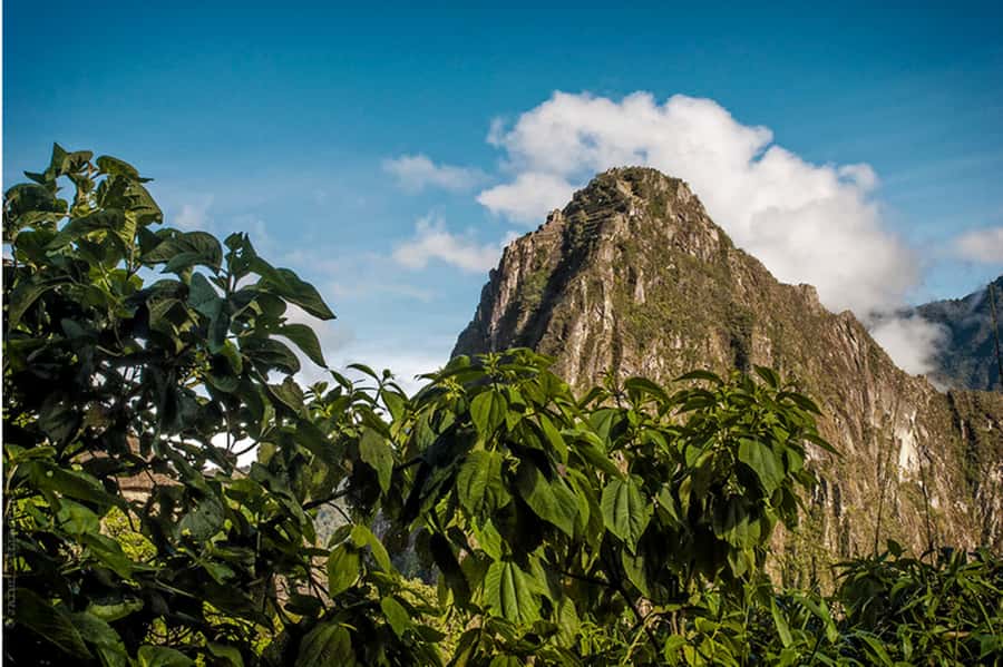 Tour Machu Picchu + Mountain of Huayna Picchu 2 days - Who should book this two-day itinerary