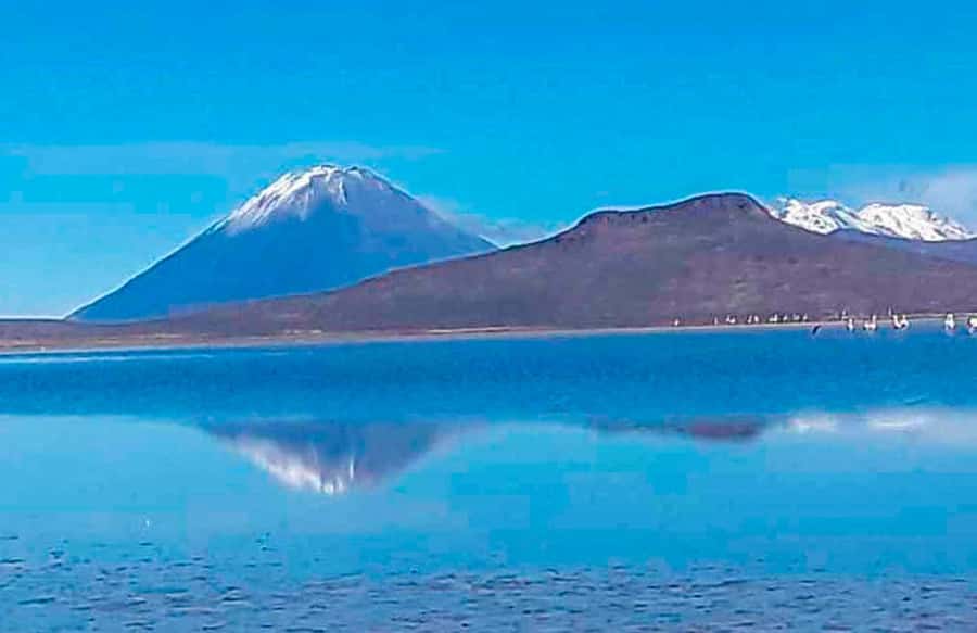 Tour to the Salinas Lagoon and National Reserve in Arequipa - Leaving Arequipa at 6:00 in the morning