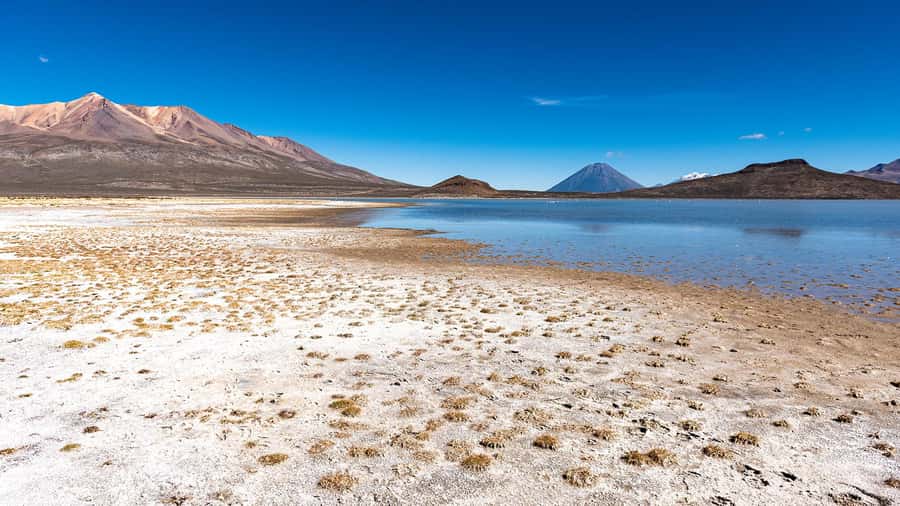 Tour to the Salinas Lagoon and National Reserve in Arequipa - Salinas Lagoon and its changing reflections