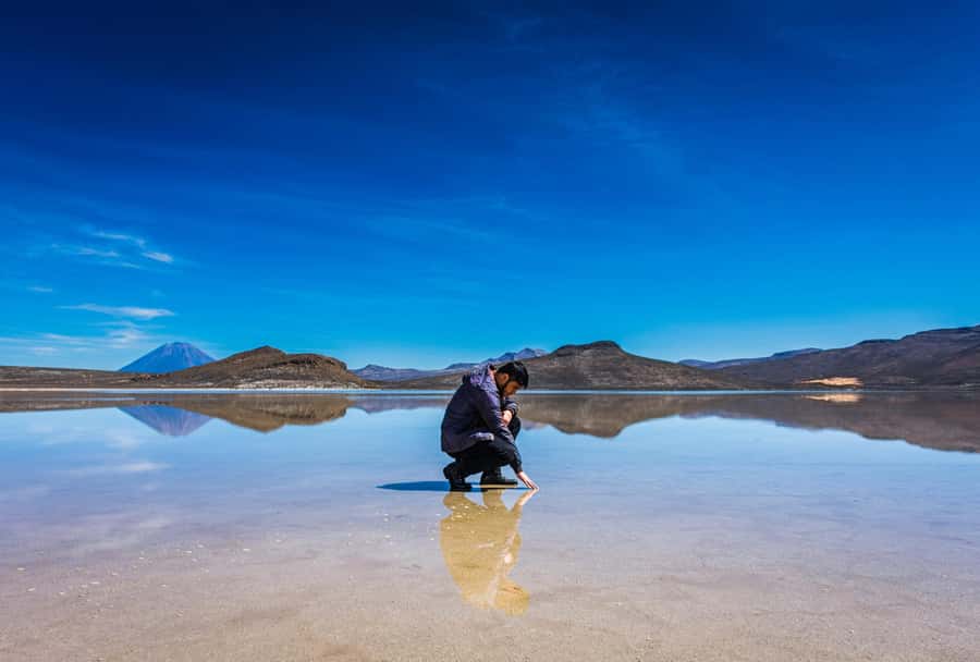 Tour to the Salinas Lagoon and National Reserve in Arequipa - Camelids, birds, and a high Andean reserve