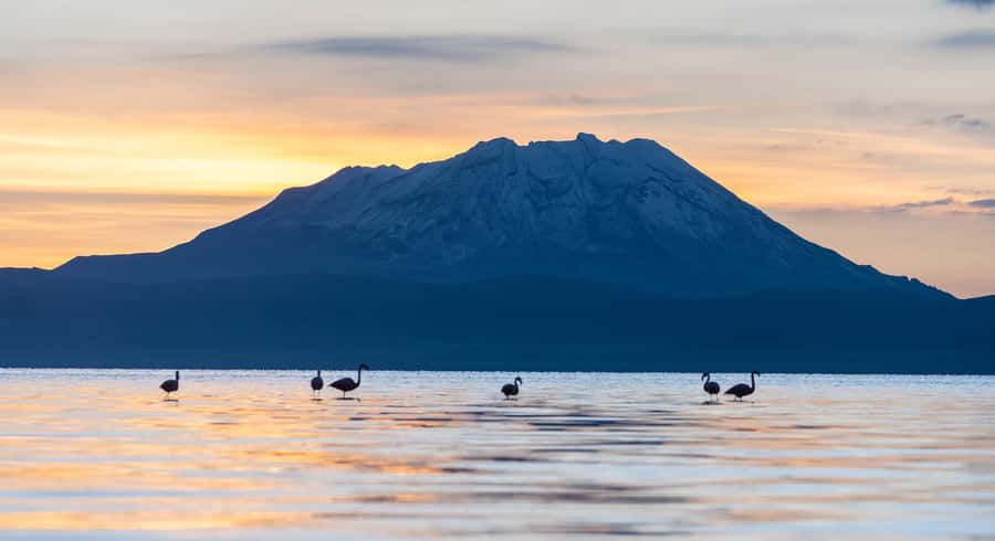 Tour to the Salinas Lagoon and National Reserve in Arequipa - Optional mini thermal wells at 11:30