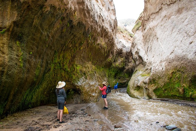 Trekking, Waterfalls and Thermal Baths - Should You Book Trekking, Waterfalls and Thermal Baths?