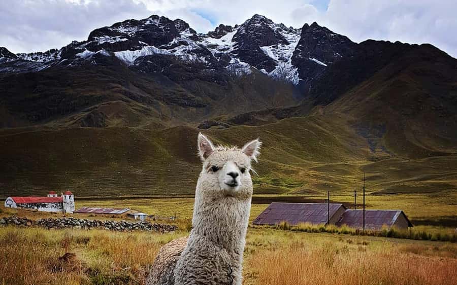 TRIP FROM PUNO TO CUSCO WITH THE ROUTE OF THE SUN - Starting in Puno at 6:00 in the morning