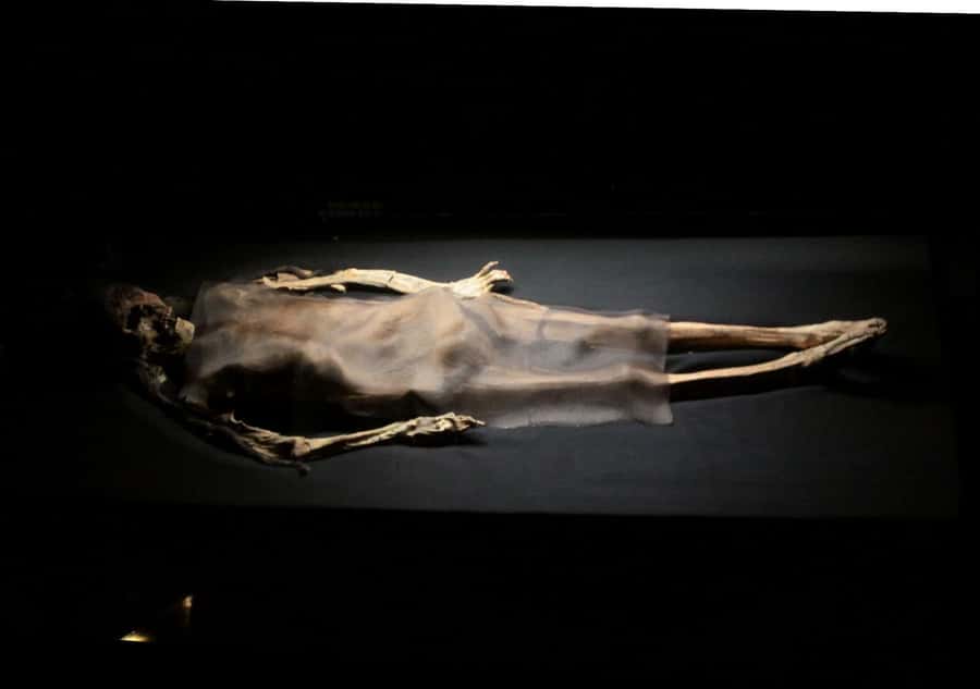 Trujillo: El Brujo Complex Archaeological Tour with Tickets - Should you book the El Brujo tour?