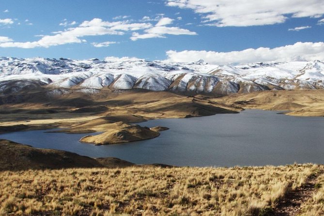 Turist Bus Colca Canyon (Chivay) To Puno - Tocrapampa and the search for Andean camelids