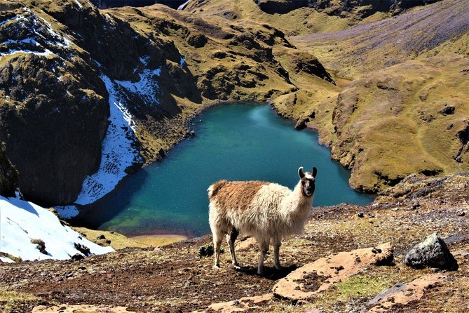 Ultimate Lares Trek & Inca Trail 5 days - Day five: sunrise and a guided visit inside Machu Picchu