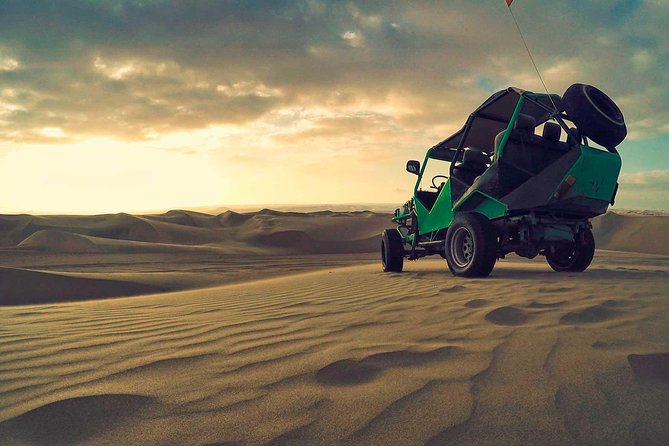 Unforgettable Trip to Ballestas and Huacachina from Lima - Sea lions and seabirds at the Ballestas Islands