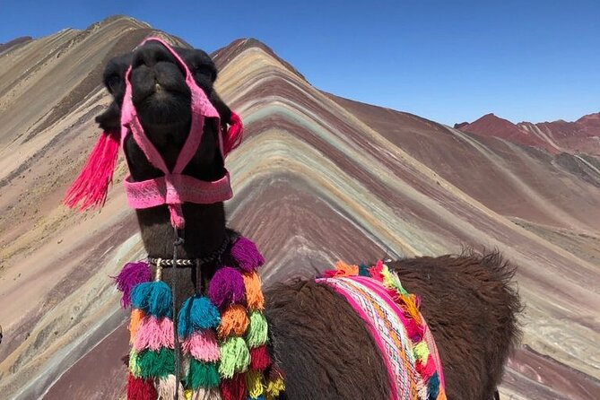 Vinicunca Rainbow Mountain Full-Day Tour from Cusco - Why Vinicunca makes such a demanding day worthwhile