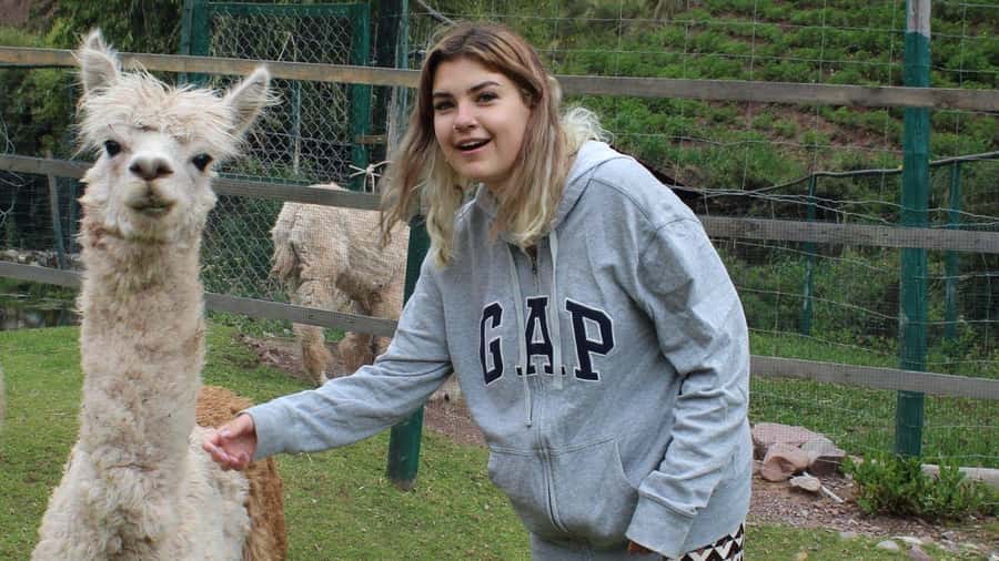 Visit to the Cochahuasi Animal Sanctuary with rescued animal - A visit built around care, not spectacle