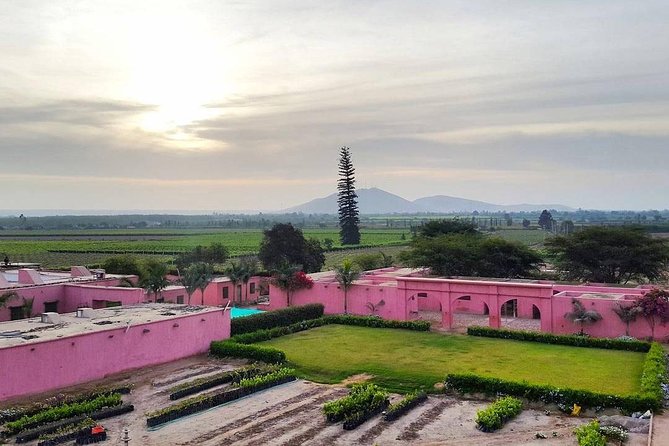 Winery and Pisco Distillery tour - Tacama: the grand opening stop
